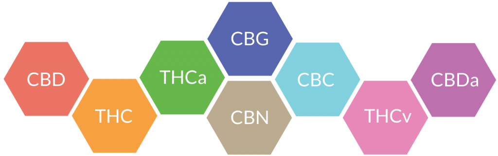 cbd oil compounds cbn 