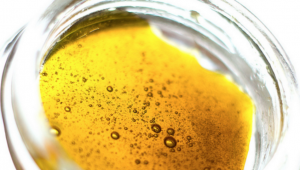 hemp oil vs. cbd oil