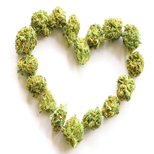New legal cannabis dispensary coming to Wichita Falls – KFDX – Texomashomepage.com